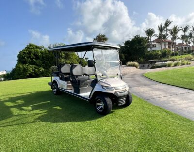 17-BOLT Golf Car 6 Pax