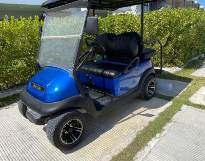 28-BOLT Golf Car 4 Pax (gas)