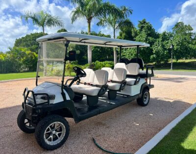 29-BOLT Golf Car 8 Pax