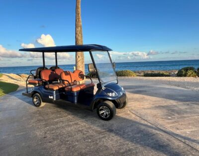 31-BOLT Golf Car 6Pax